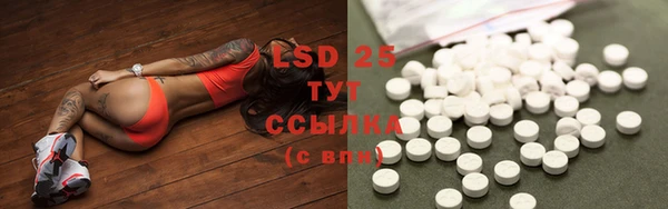 ГАЛЛЮЦИНОГЕННЫЕ ГРИБЫ Армянск