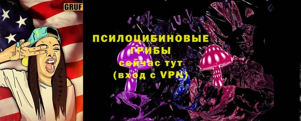 амф Аркадак
