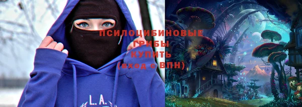 a pvp Арсеньев