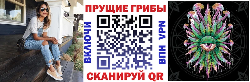 Галлюциногенные грибы Psilocybine cubensis  гидра вход  Поронайск 